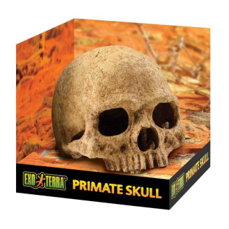 Exo Terra Primate Skull Декорація для тераріума Череп людини