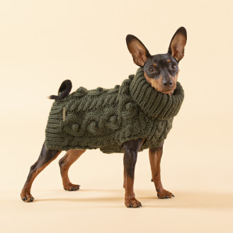 PAIKKA Handmade Knit Sweater Green В'язаний светр з натуральної овечої шерсті для собак