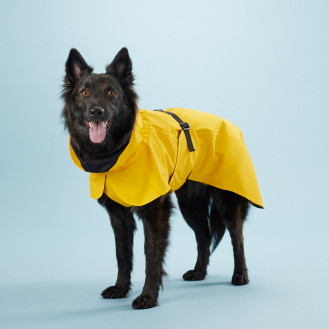 PAIKKA Visibility Raincoat Lite Yellow Водонепроникний дощовик для собак змінюючий колір при світловідбиванні