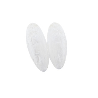 Nobby Sepiaschalen Кальцинированный панцирь каракатицы с йодом и макроэлементами (70 г)