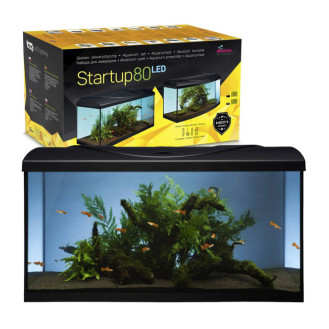 Diversa Startup 80 Led Expert 16w Аквариум 112 л с крышкой, оборудованием, кормом, термометром и сачком