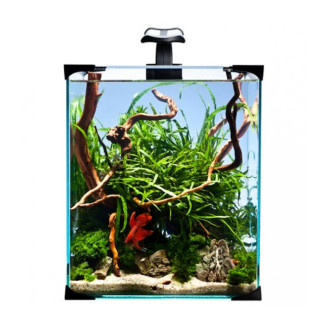 Diversa nanoLED 30 Набір для равликів, рослин та дрібних риб з нано-акваріумом 30 л, обладнанням та кормом