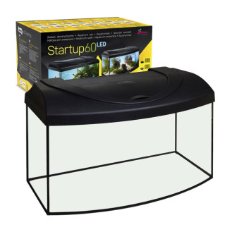 Diversa Startup 60 Led Expert 13w Панорамний акваріум 54 л з кришкою, обладнанням, кормом, термометром та сачком