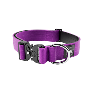 BullyBillows Combat Collar No Handle 4 cm Профессиональный сверхпрочный ошейник для собак c усиленным замком