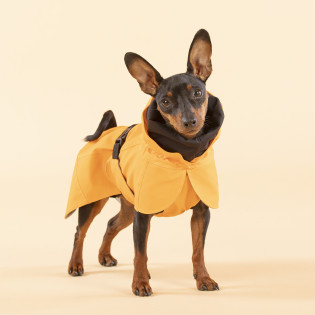PAIKKA Recovery Raincoat Orange Дождевик для собак со специальной FIR-покладкой и полным светоотражением