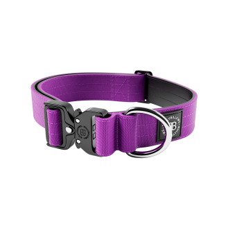 BullyBillows Combat Collar No Handle 4 cm Профессиональный сверхпрочный ошейник для собак c усиленным замком (Purple M)