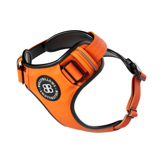 BullyBillows Premium Comfort Harness Анатомическая шлея с защитной подкладкой для собак с чувствительной кожей (Orange S (A))