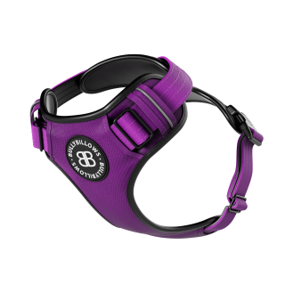 BullyBillows Premium Comfort Harness Анатомическая шлея с защитной подкладкой для собак с чувствительной кожей (Purple M (B))