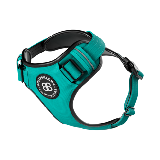 BullyBillows Premium Comfort Harness Анатомическая шлея с защитной подкладкой для собак с чувствительной кожей (Turquoise S (A))