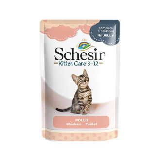 Schesir Kitten Chicken Fillets in Jelly Влажный корм для котят в возрасте до 1 года Куриное филе в желе