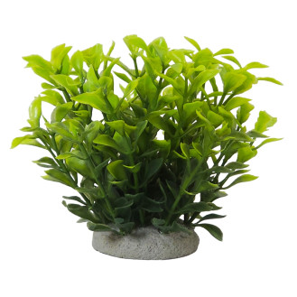 Nobby Aqua Plant Ludwigia Green Декоративна рослина для акваріума Людвігія Зелена
