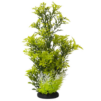 Nobby Aqua Plant Rotala Декоративна рослина для акваріума Ротала