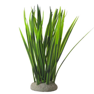 Nobby Aqua Plant Vallisneria Декоративное растение для аквариума Валлиснерия
