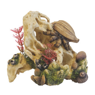 Nobby Aqua Ornaments Stone Cave Shell Декор для акваріума Мушлі на камені