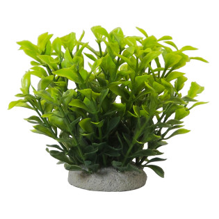 Nobby Aqua Plant Ludwigia Green Декоративное растение для аквариума Людвигия Зеленая