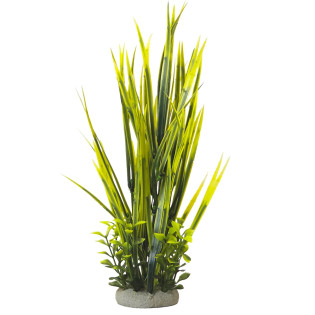 Nobby Aqua Plant Vallisneria & Ludwigia Green Декоративное растение для аквариума Валлиснерия и Людвигия Зеленая