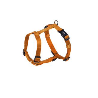 Nobby Classic H-shaped Harness Анатомическая шлея для собак с плавной регулировкой размера и классическим фастексом (Orange M-L)