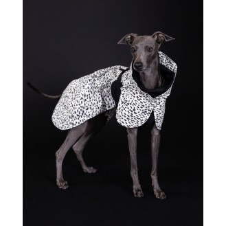 PAIKKA Raincoat 2.0 Водонепроницаемый светоотражающий плащ-дождевик для собак, светящийся ночью