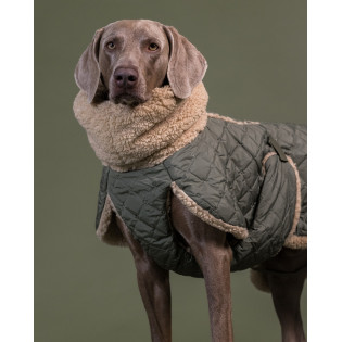 PAIKKA Quilted Sherpa Jacket Olive Зимова оливкова куртка для собак на Sherpa-підкладці PAIKKA Quilted Sherpa Jacket Olive Зимова оливкова куртка для собак на Sherpa-підкладці