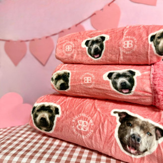 BullyBillows Luxury Dog & Human Blanket Myla Pink Edition Рожева кашемірова обтяжена ковдра для собак та людей