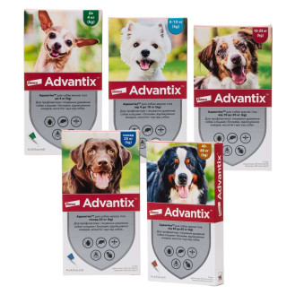 Elanco Advantix Dogs Антипаразитарные капли для собак от блох, клещей, власоедов и вшей Адвантикс