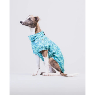 PAIKKA UV & Bug Shirt Teal Інноваційна сорочка для собак з захистом від ультрафіолету та комах