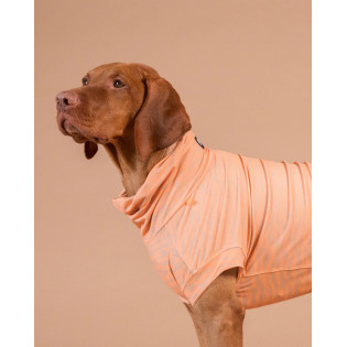 PAIKKA UV & Bug Shirt Peach Инновационная рубашка для собак с защитой от ультрафиолета и насекомых PAIKKA UV & Bug Shirt Peach Инновационная рубашка для собак с защитой от ультрафиолета и насекомых