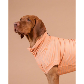 PAIKKA UV & Bug Shirt Peach Інноваційна сорочка для собак з захистом від ультрафіолету та комах