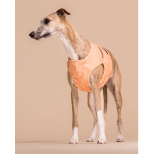 PAIKKA Cool Vest Peach Охлаждающий жилет для собак PAIKKA Cool Vest Peach Охлаждающий жилет для собак
