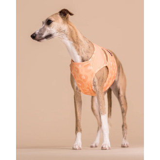 PAIKKA Cool Vest Peach Охолоджуючий жилет для собак