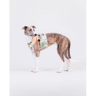 PAIKKA Cool Vest Peach Lemon Охлаждающий жилет для собак PAIKKA Cool Vest Peach Lemon Охлаждающий жилет для собак
