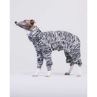 PAIKKA UV & Bug Overall Інноваційний комбінезон для собак з захистом від ультрафіолету та комах