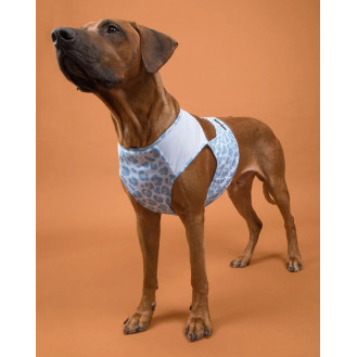 PAIKKA Cool Vest Snow Leo Охолоджуючий жилет для собак