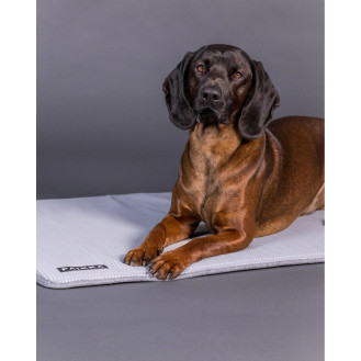 PAIKKA Cooling Blanket Grey Інноваційна охолоджуюча підстилка для собак та котів