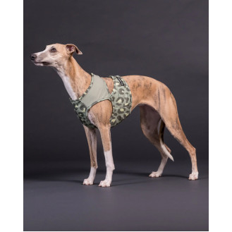 PAIKKA Cool Vest Green Leo Охолоджуючий жилет для собак