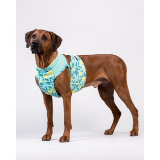 PAIKKA Cool Vest Green Lemon Охолоджуючий жилет для собак