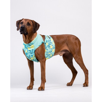 PAIKKA Cool Vest Green Lemon Охлаждающий жилет для собак