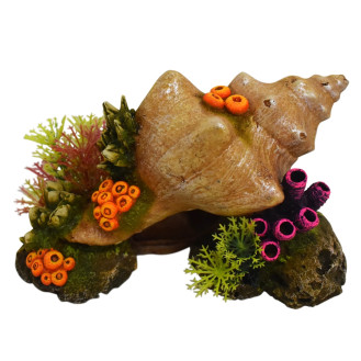 Nobby Aqua Ornaments Shell & Balanus Декор для акваріума Мушля з баланусами